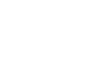 Evolution games at Royal Spin Online Casino